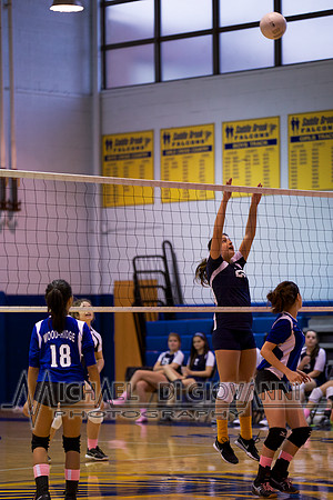 SB Falcon Volleyball, 10-30-14 98