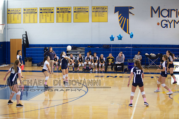 SB Falcon Volleyball, 10-30-14 5