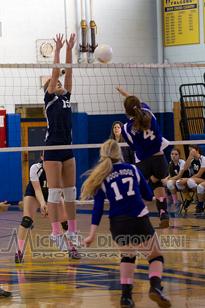 SB Falcon Volleyball, 10-30-14 41
