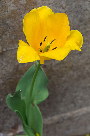 IMG_9326.jpg