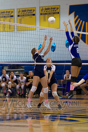 SB Falcon Volleyball, 10-30-14 29