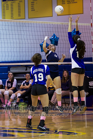 SB Falcon Volleyball, 10-30-14 99