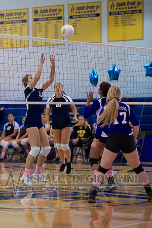SB Falcon Volleyball, 10-30-14 31