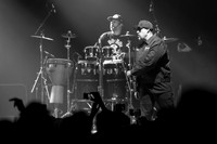 IMG_8979.jpg