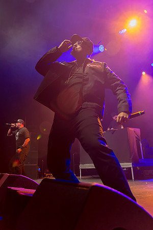 IMG_8684.jpg